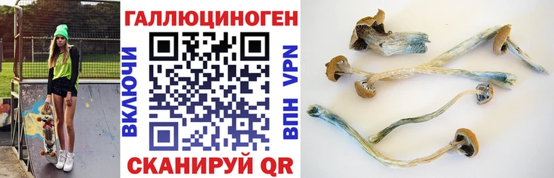 площадка какой сайт  Мегион  Галлюциногенные грибы GOLDEN TEACHER 