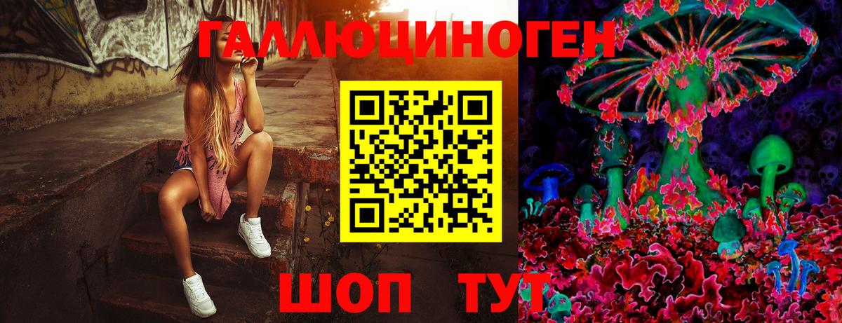 Псилоцибиновые грибы мицелий Мегион